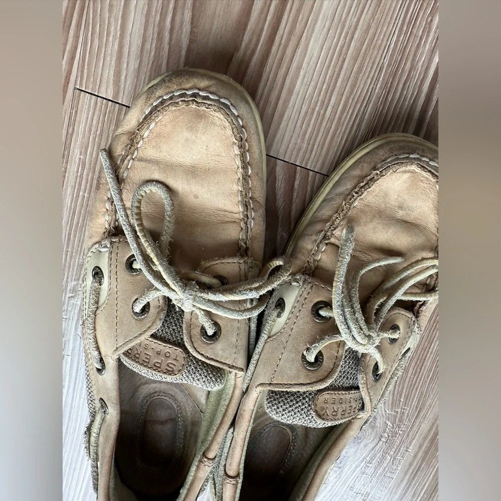Sperry classic reason